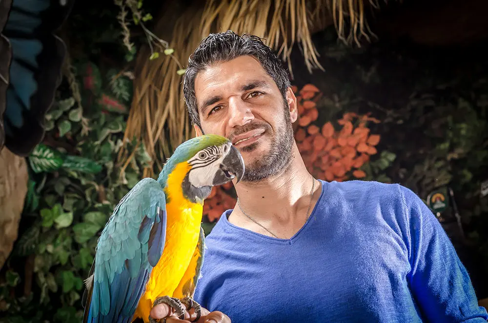 A blue-and-gold macaw perched on a hand in front of the rainforest wall at Jungle Mania